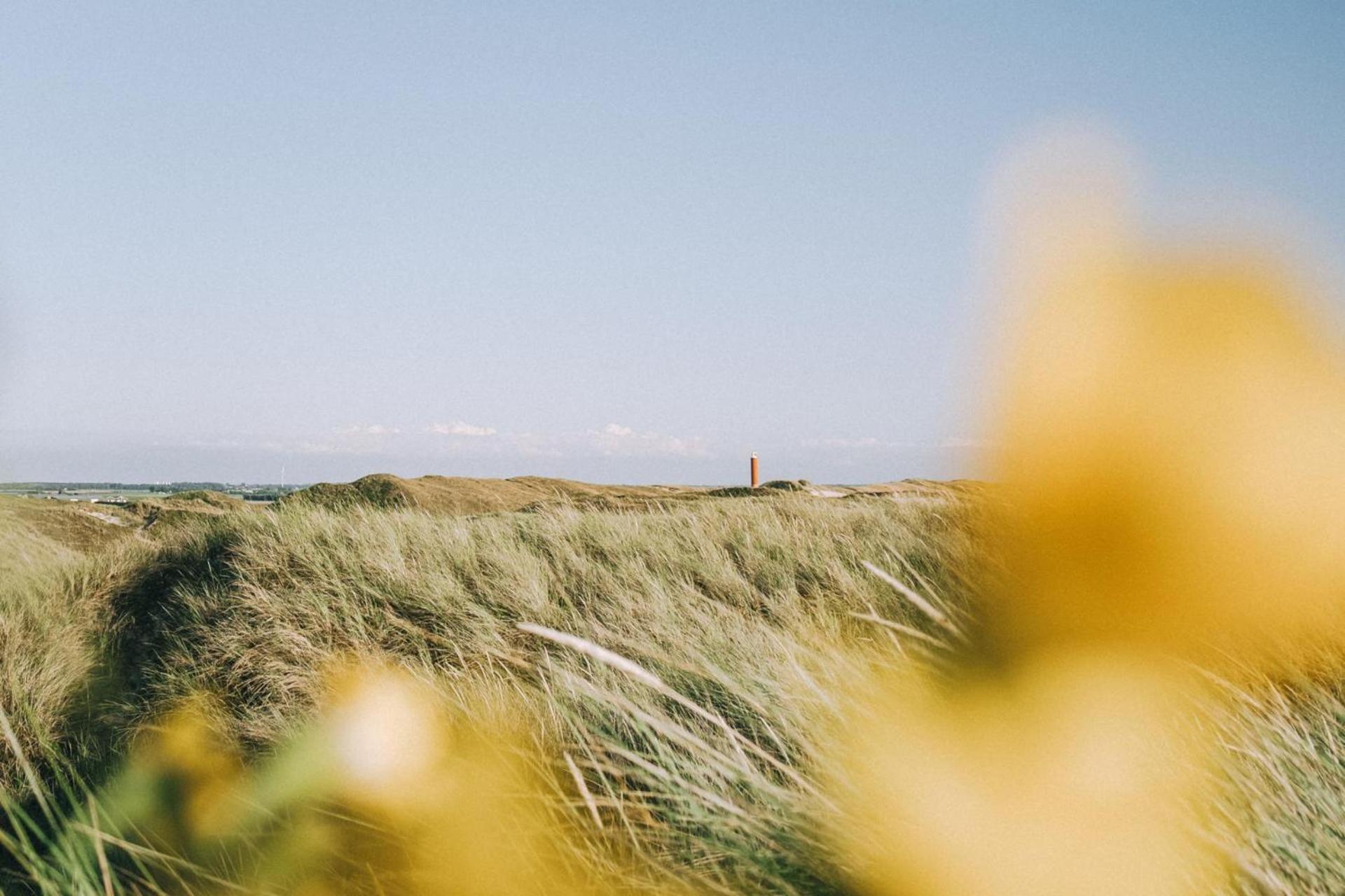 Vakantiehuis Beau - Julianadorp Aan Zee Dış mekan fotoğraf